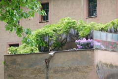DSCN0144