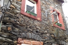 DSCN0370