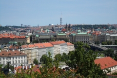 SAM_1377